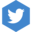 Twitter Downloader logo